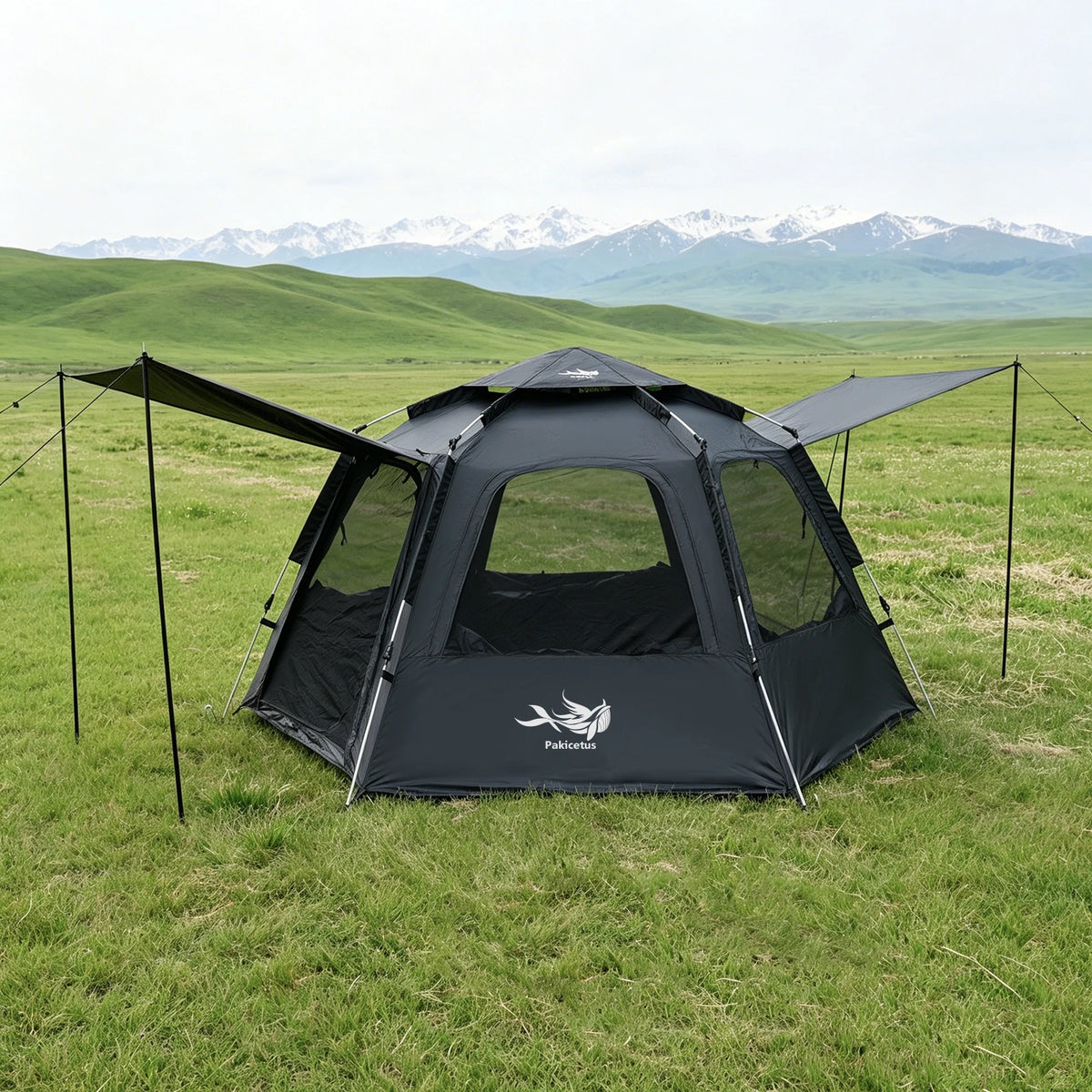 PAKICETUS Dome Camping Tent 2-5 Person Instant Setup 1 Minute Easy Assembly Double Doors Lightweight Portable Backpacking Tent for Outdoor Hiking Travel